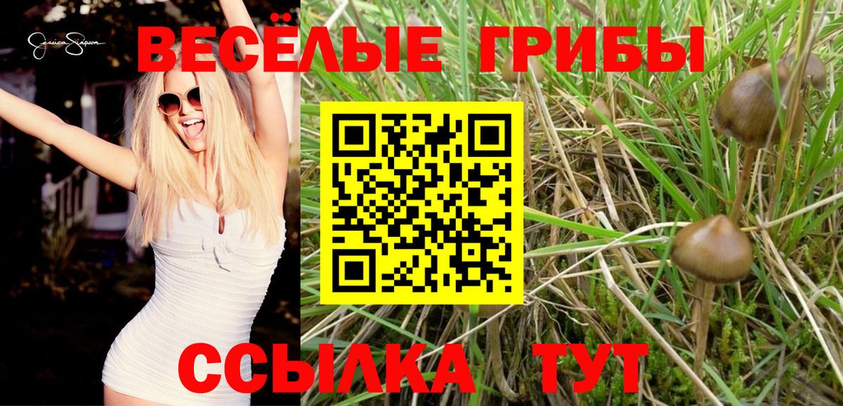 Галлюциногенные грибы Psilocybine cubensis  Вход с VPN  Минеральные Воды 
